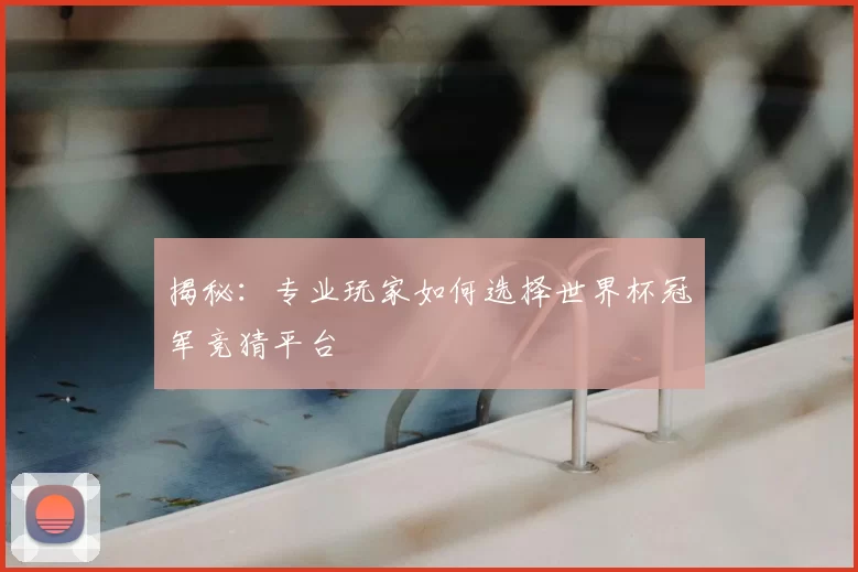 揭秘：专业玩家如何选择世界杯冠军竞猜平台