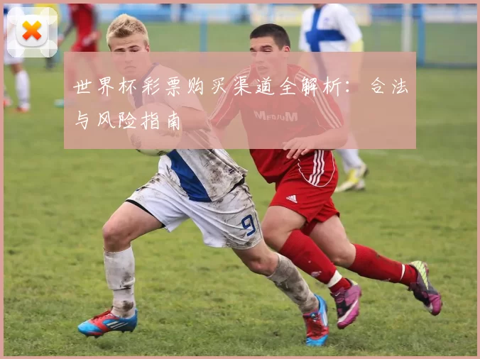 世界杯彩票购买渠道全解析:合法与风险指南