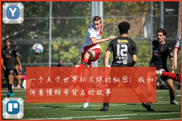 一个关于世界杯买球的秘密：我如何看懂赔率背后的故事