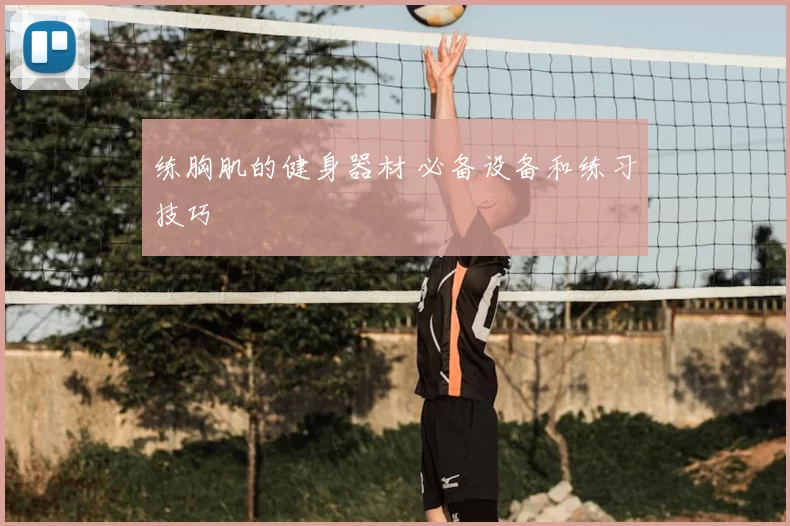 练胸肌的健身器材 必备设备和练习技巧