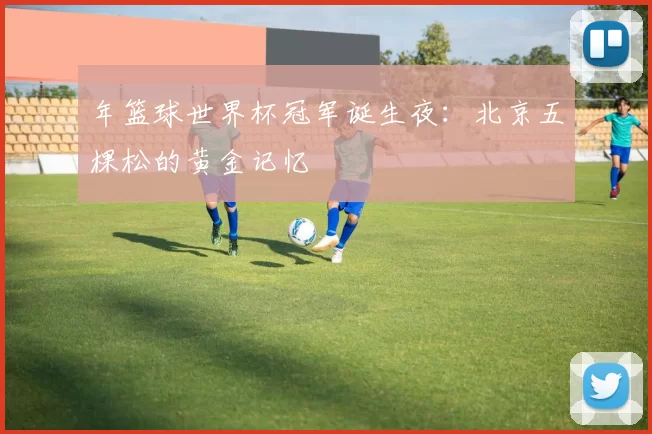 年篮球世界杯冠军诞生夜:北京五棵松的黄金记忆
