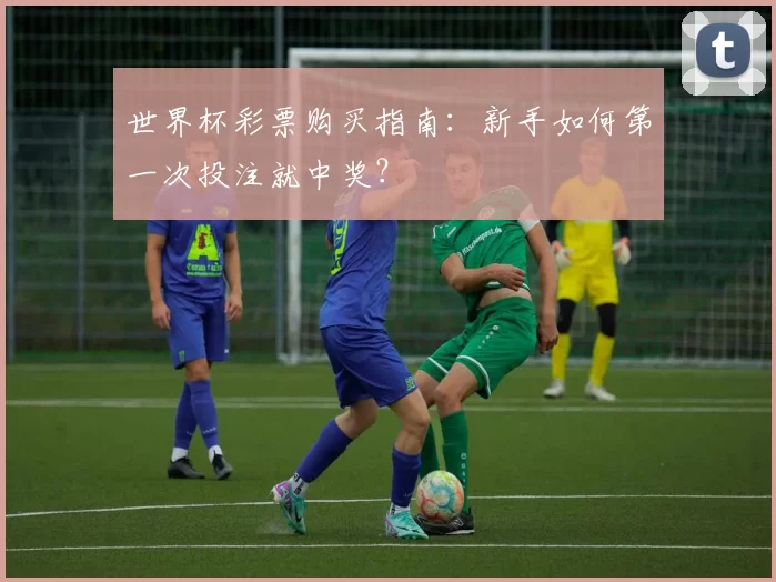 世界杯彩票购买指南：新手如何第一次投注就中奖？