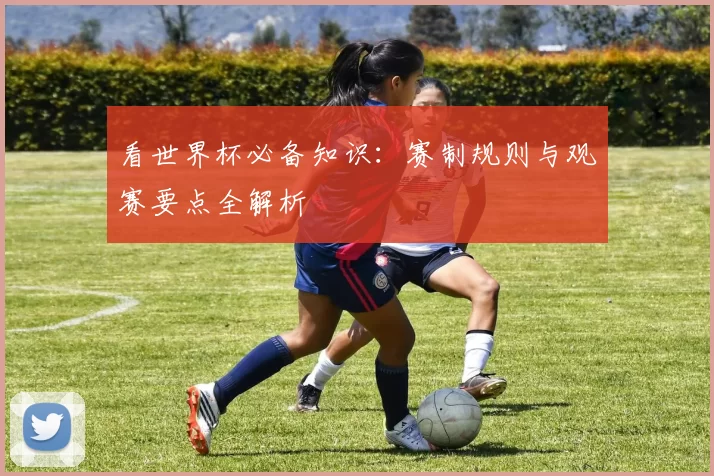 看世界杯必备知识：赛制规则与观赛要点全解析