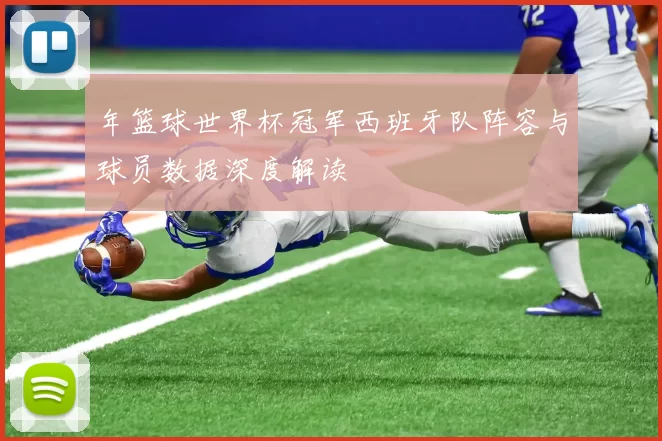 年篮球世界杯冠军西班牙队阵容与球员数据深度解读