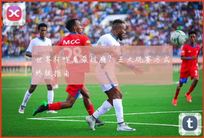 世界杯咋看最过瘾？五大观赛方式终极指南