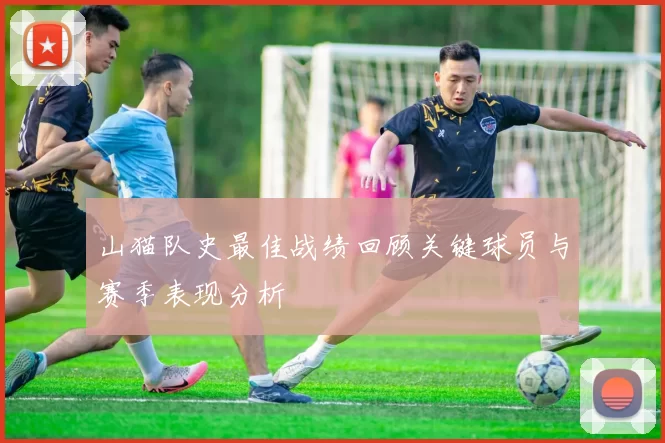 山猫队史最佳战绩回顾关键球员与赛季表现分析