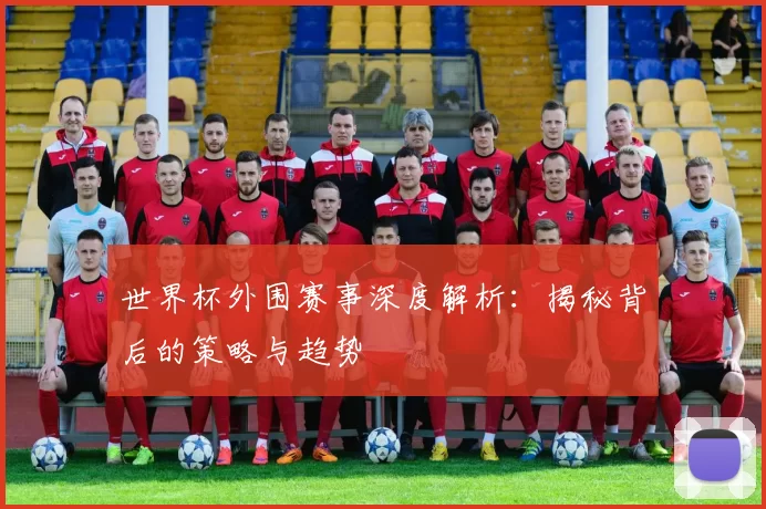 世界杯外围赛事深度解析：揭秘背后的策略与趋势