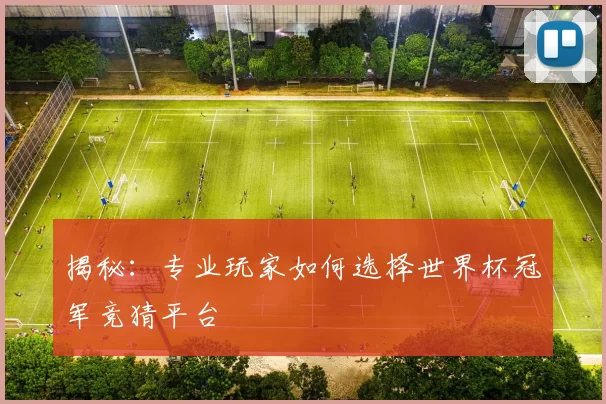 揭秘：专业玩家如何选择世界杯冠军竞猜平台