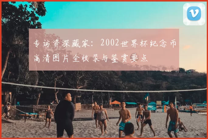 专访资深藏家:2002世界杯纪念币高清图片全收录与鉴赏要点