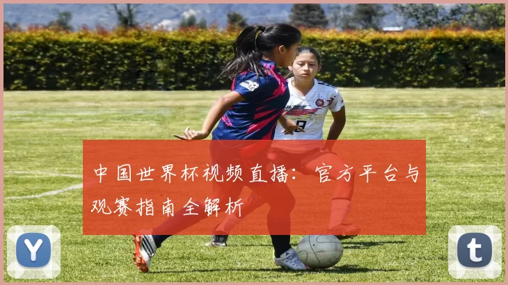 中国世界杯视频直播:官方平台与观赛指南全解析