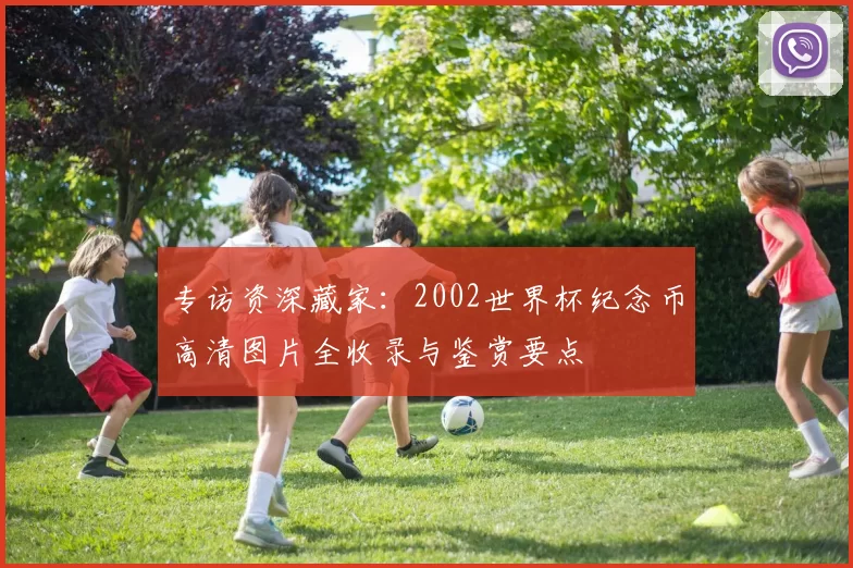 专访资深藏家:2002世界杯纪念币高清图片全收录与鉴赏要点