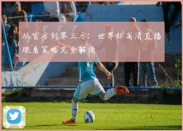 从官方到第三方:世界杯高清直播观看策略完全解读